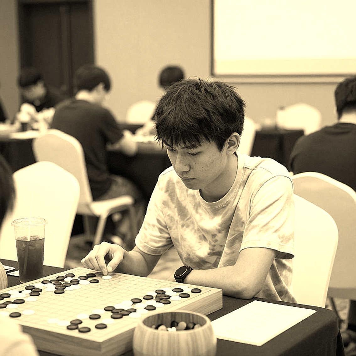 Three rating lists, one board: Vietnamese chess is measuring the wrong thing Three rating lists, one board: Vietnamese chess is measuring the wrong thing